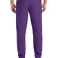 Men's 8-Pocket Mid-Rise Rib-Knit Elastic Waist Cargo Pant - LB410 - Eggplant