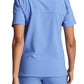 Unisex 2-Pocket V-Neck Scrub Top